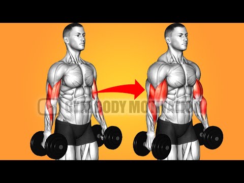 Build Huge Biceps With 6 Best Exercises