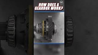 What's inside a manual gearbox?  #automobile #garage #racing #binky #bom