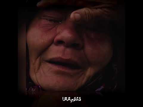 Veehaives Ginain Mainbafain kairi ah e geyah gosslan vaane! I Dhivehi I #dhuvahugebaskolhu