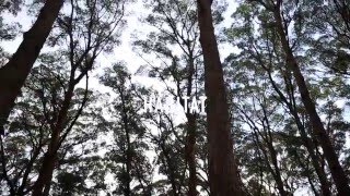 HABITAT // The Passage North