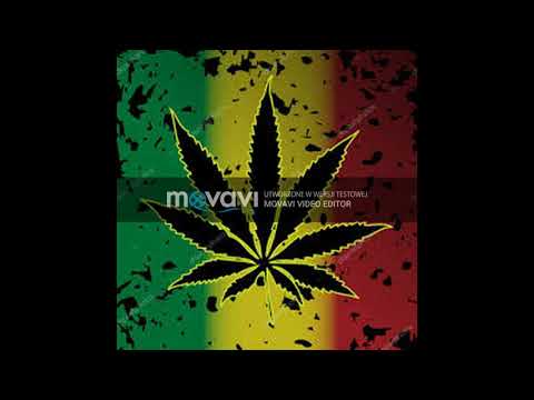 BRS-lolki lolki w góre