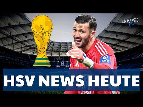 HSV NEWS! ‚Er hätte es verdient‘ – Bekommt Heuer Fernandes jetzt wirklich seine WM-Chance?