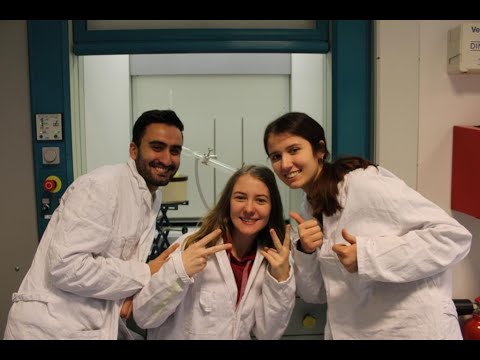 Wie entsteht Alkohol?