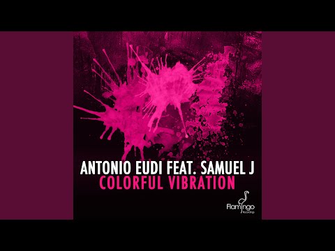 Colorful Vibration (DJ PP Remix)
