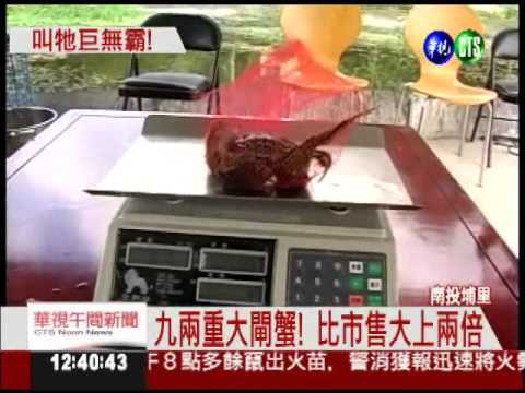 叫牠巨無霸! 埔里大閘蟹九兩重