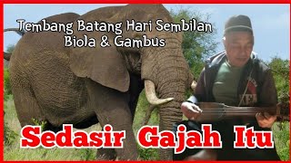 Download lagu SeDasir Gajah Itu full Lirik #gitartunggalbatangharisembilan #gitartunggalsemende mp3