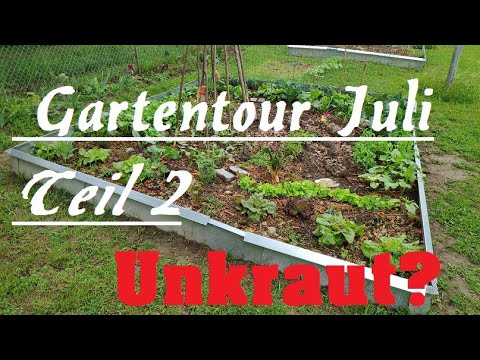 , title : 'Gartenrundgang Juli - mein erstes Gartenvideo Teil 2 Wildkräuter, Kichererbsen, und Neuansaaten'