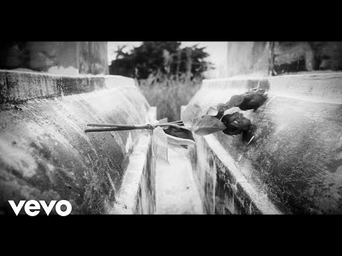 D.Vill-Edge - TimeToday