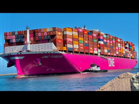 4K SHIPSPOTTING LOS ANGELES LARGE CONTAINER SHIPS - May 2024