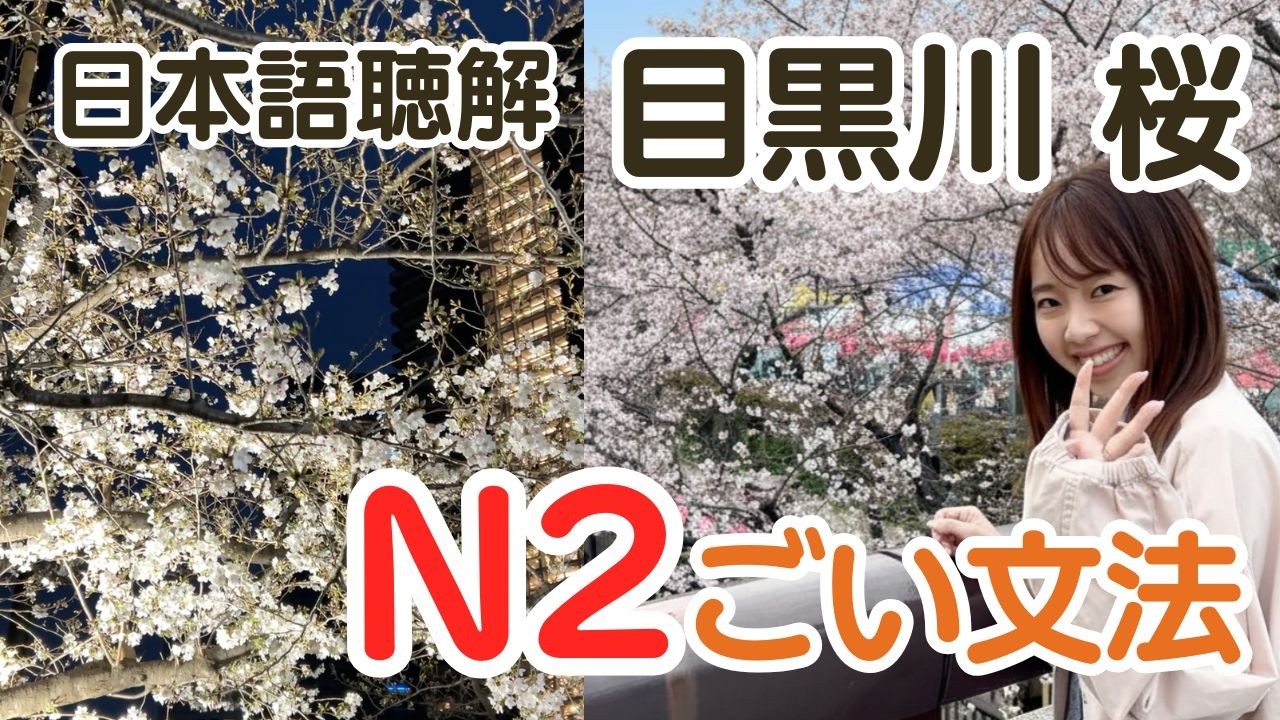 Japanese Listening Practice N2 | 目黒川 お花見 夜桜【JLPT N2のごい文法25こ】日本語聴解