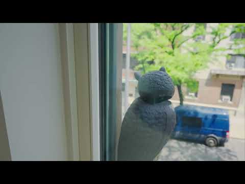 video 1