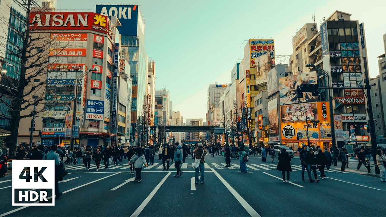 Golden Hour in Tokyo: Akihabara to Ginza | Sunday Walk for Sleep & Study 4K HDR [2026-01-28]