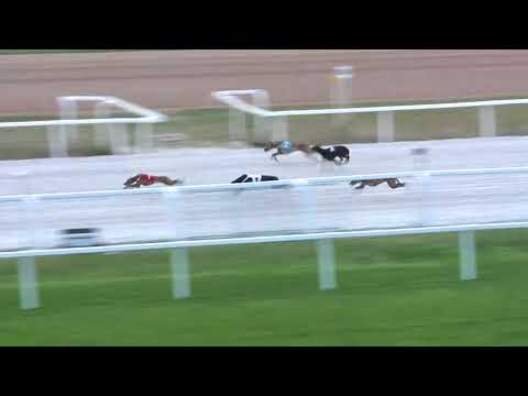 2018.05.04. Agár futam