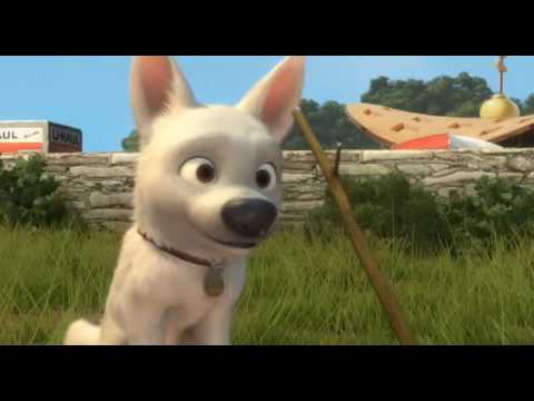 There is No Home Like the One You've Got - Bolt