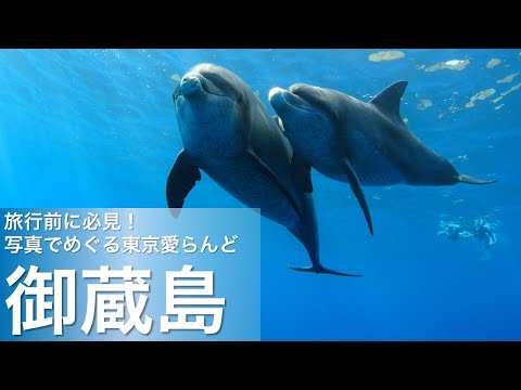旅行前に必見！写真でめぐる東京愛らんど（伊豆諸島・御蔵島編）