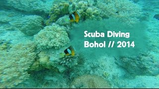 preview picture of video 'Scuba Diving // Bohol'
