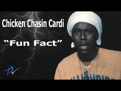 BPM Chicken Chasin Cardi - Fun Fact