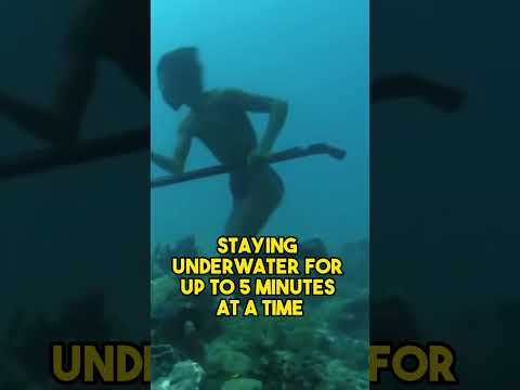 How Badjao Sea Gypsies Hunt Underwater Like Land Animals