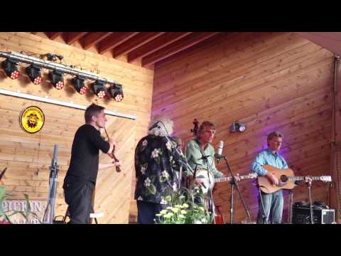 The David Grisman Bluegrass Experience 