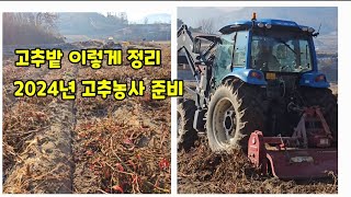 고추밭 정리 트랙터로 고추대 파쇄 로타리 2024년 고추농사 준비 [고추재배방법]