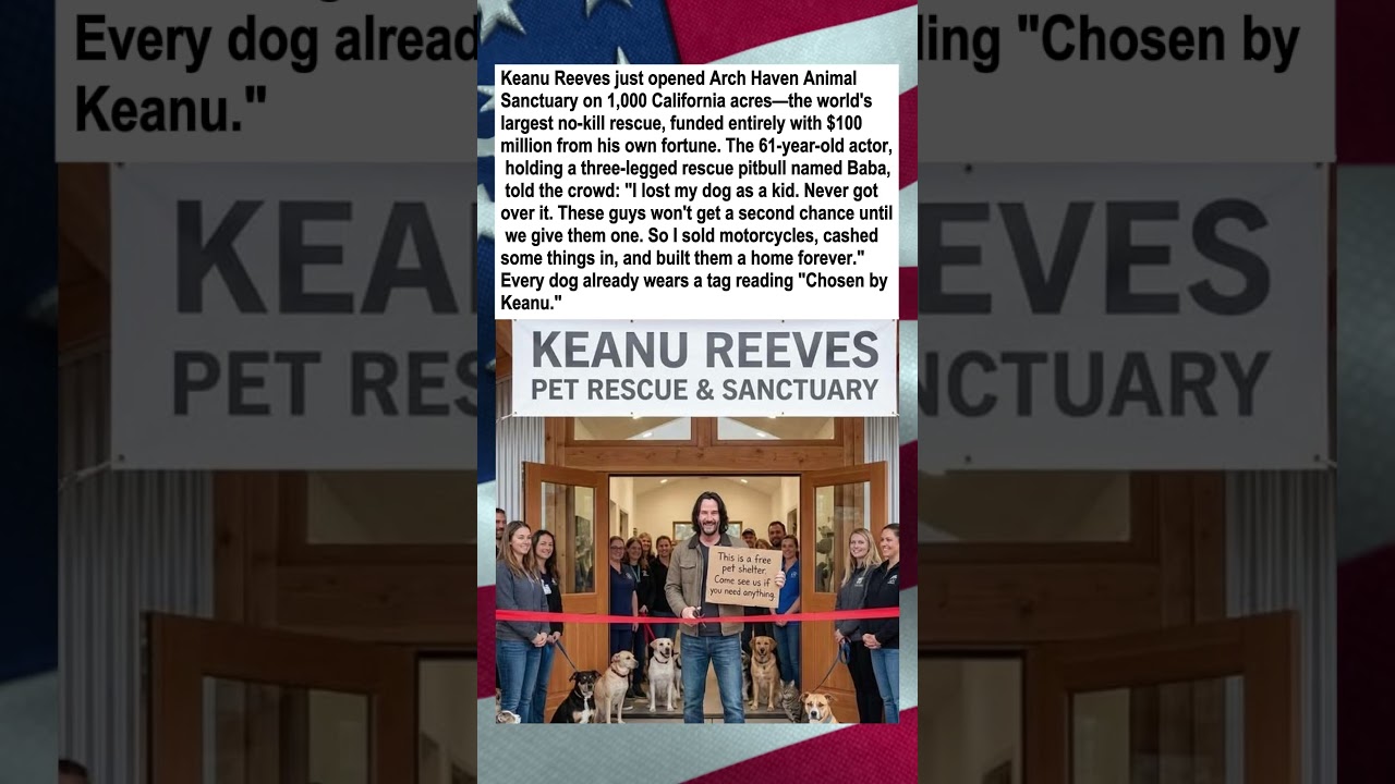 Keanu Reeves Establishes Arch Haven Animal Sanctuary, The World's Largest Hospice Shelter