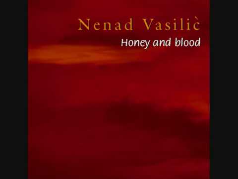 Nenad Vasilic - Intro for Shaban