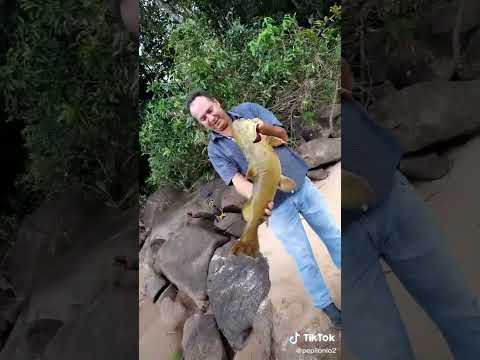 veja o tamanho do Jaú que eu pesquei no Rio Claro Israelândia Goiás