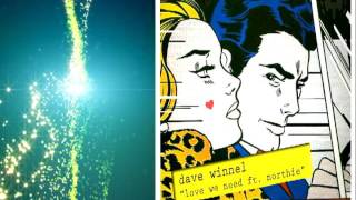 Dave Winnel &amp; Northie   Love We Need Original Mix