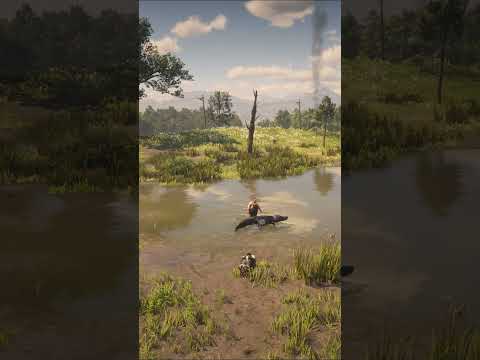 Epic Giant Crocodile Attacks Man From Narrow Canal | Shocking Rescue | v38 #shorts #CrocodileAttack