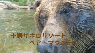 preview picture of video '十勝サホロリゾート ベア・マウンテン 『北海道 新得町』'