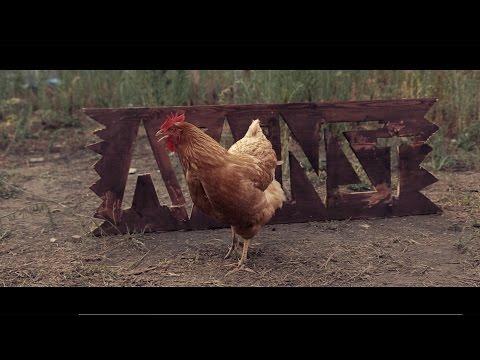 Franky B & The Cryptic Monkeys - Against ft Fade