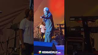 Max Romeo - Redemption Song | Live in Kingston, Jamaica @ Musical Tribute to Bob Marley 2023