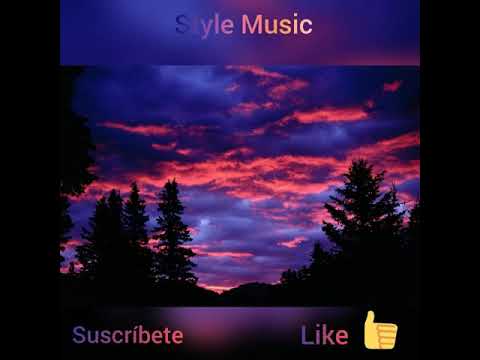 MILO MAE - TU GATO BELLACO