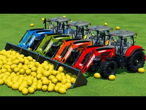 LOAD AND TRANSPORT LEMONS WITH STEYR TRACTORS - Farming Simulator 22