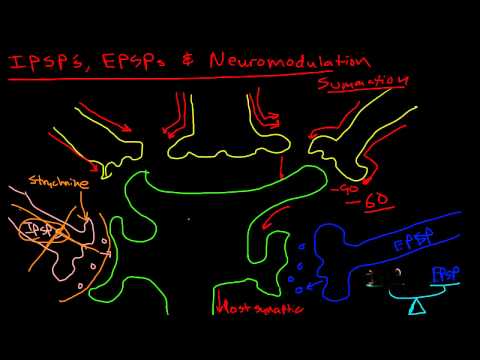 Neuromodulation - Strychnine Example
