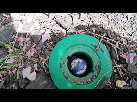 Ants Occupy Termite Bait Station in Holmdel, NJ