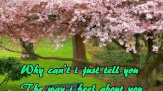 Can't Stop Thinking About You - Stacy Lattisaw