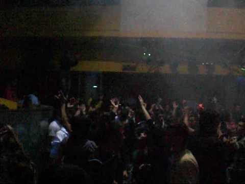 hollywood domingo tarde