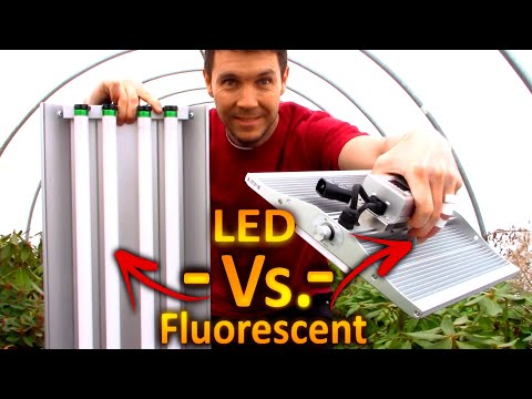 LED Grow Lights vs  Fluorescent Bulbs for Seedlings and Cuttings | ViparSpectra XS 1000 Grow Light