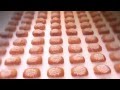 Corporate Video