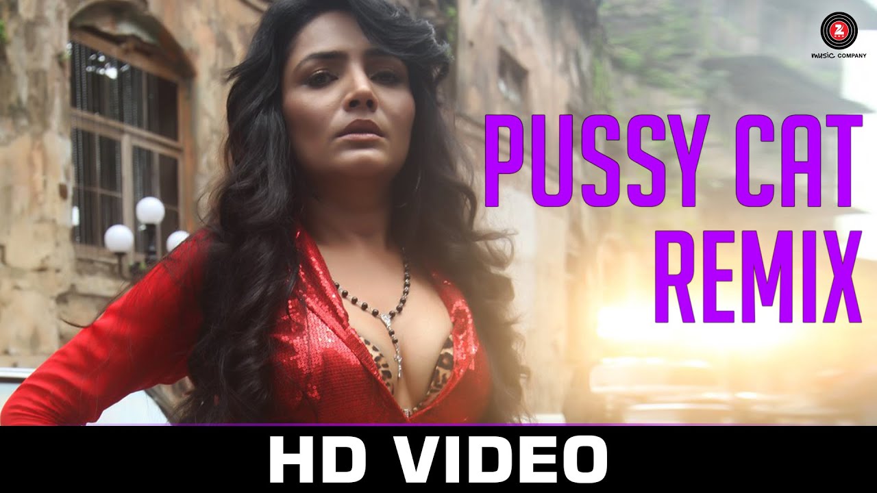Pussy Cat (Remix) Lyrics | Pussy Cat | Tanushree Roy Chowdary, Rahul B Seth | Vijay Verma