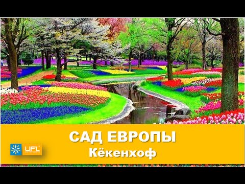 Королевский парк тюльпанов Кёкенхоф в Го