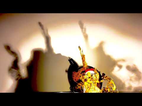 „DER SCHEINLOS VERIRRTEN“