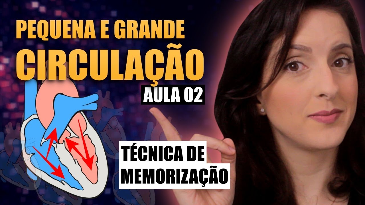 Pequena e Grande Circulação: Técnica para MEMORIZAR [Sistema Cardiovascular 4/4]