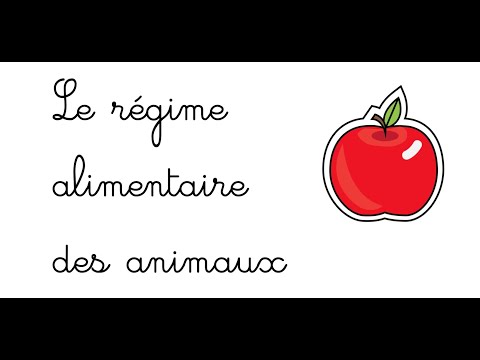 QLM CP: Le régime alimentaire des animaux - activité