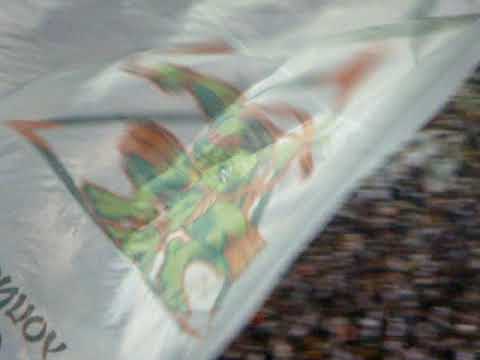 Das antigas! Comemoração do gol! Final Copa do Brasil! Fluminense 1x1 Figueirense (jogo de ida)!