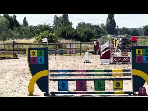 Liondor de la tour hongre de 4 ans - carbon du cyan (diamant de semilly) x Emir Platière