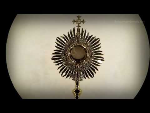 The Sorrowful Mysteries for Conversion