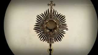 The Sorrowful Mysteries for Conversion