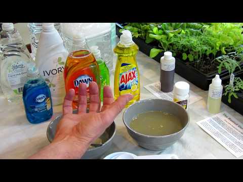, title : 'How to Make Soapy Water Garden Insect Sprays: The Recipe, Use & Soap Selection - DIY Ep-3'